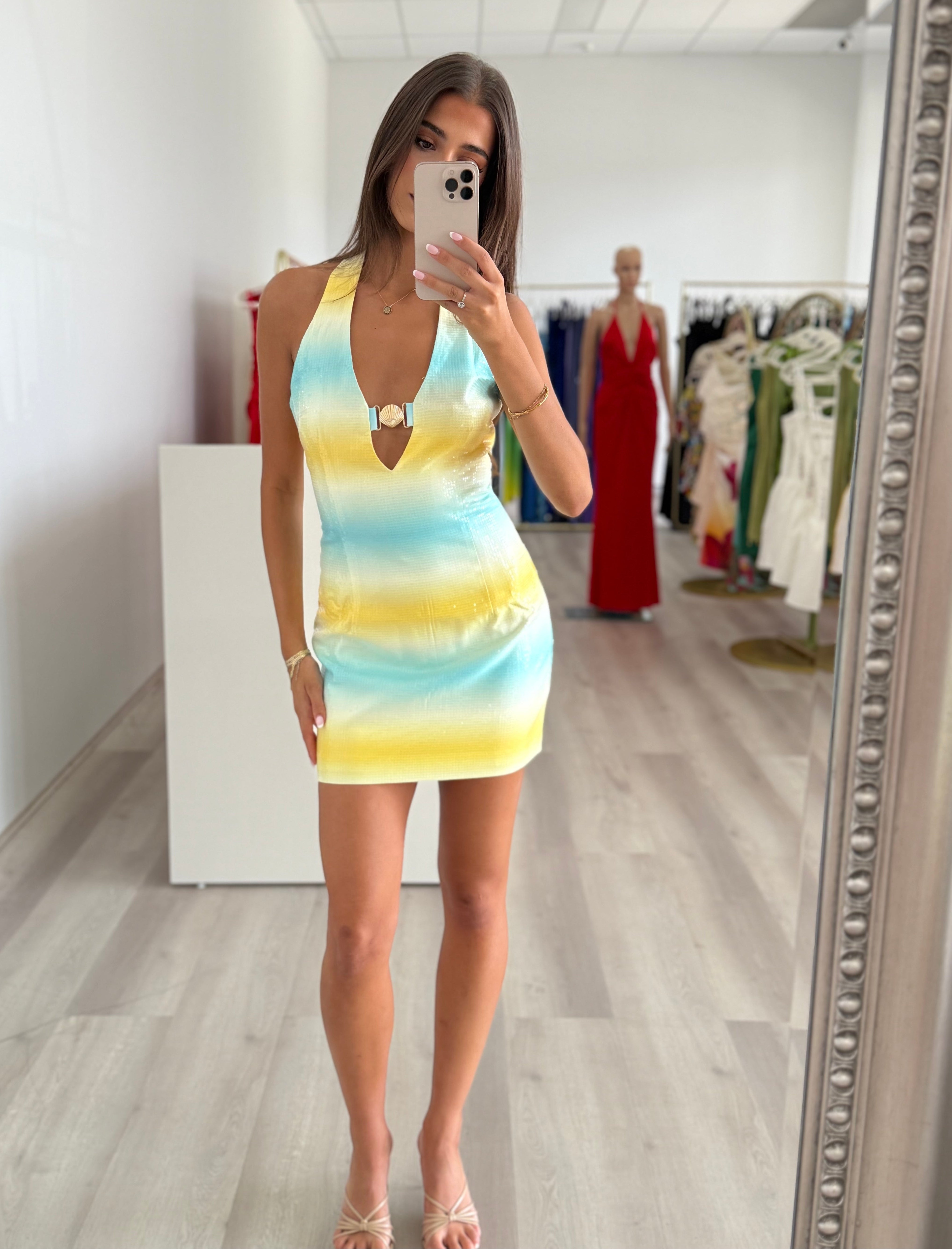 Catiana Mini Dress in Rio Print