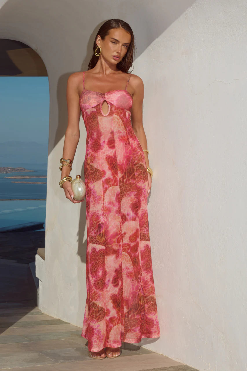 Tisha Sheer Maxi Dress