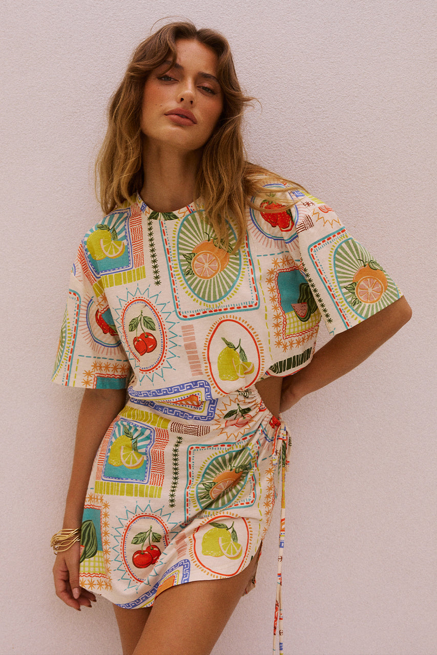 Sarico Mini Dress in Agata Print