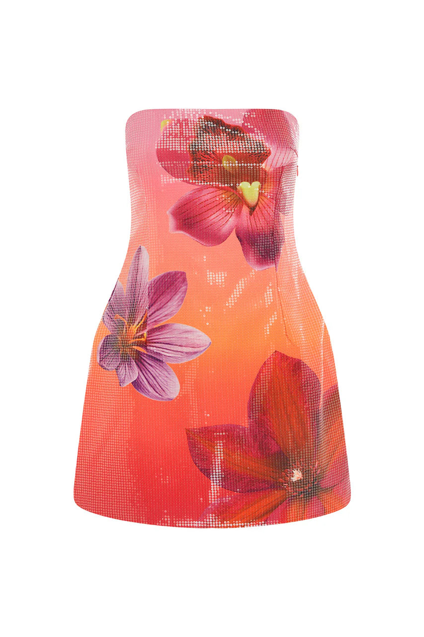  Ibiza Mini Dress in Cosmo Ombre