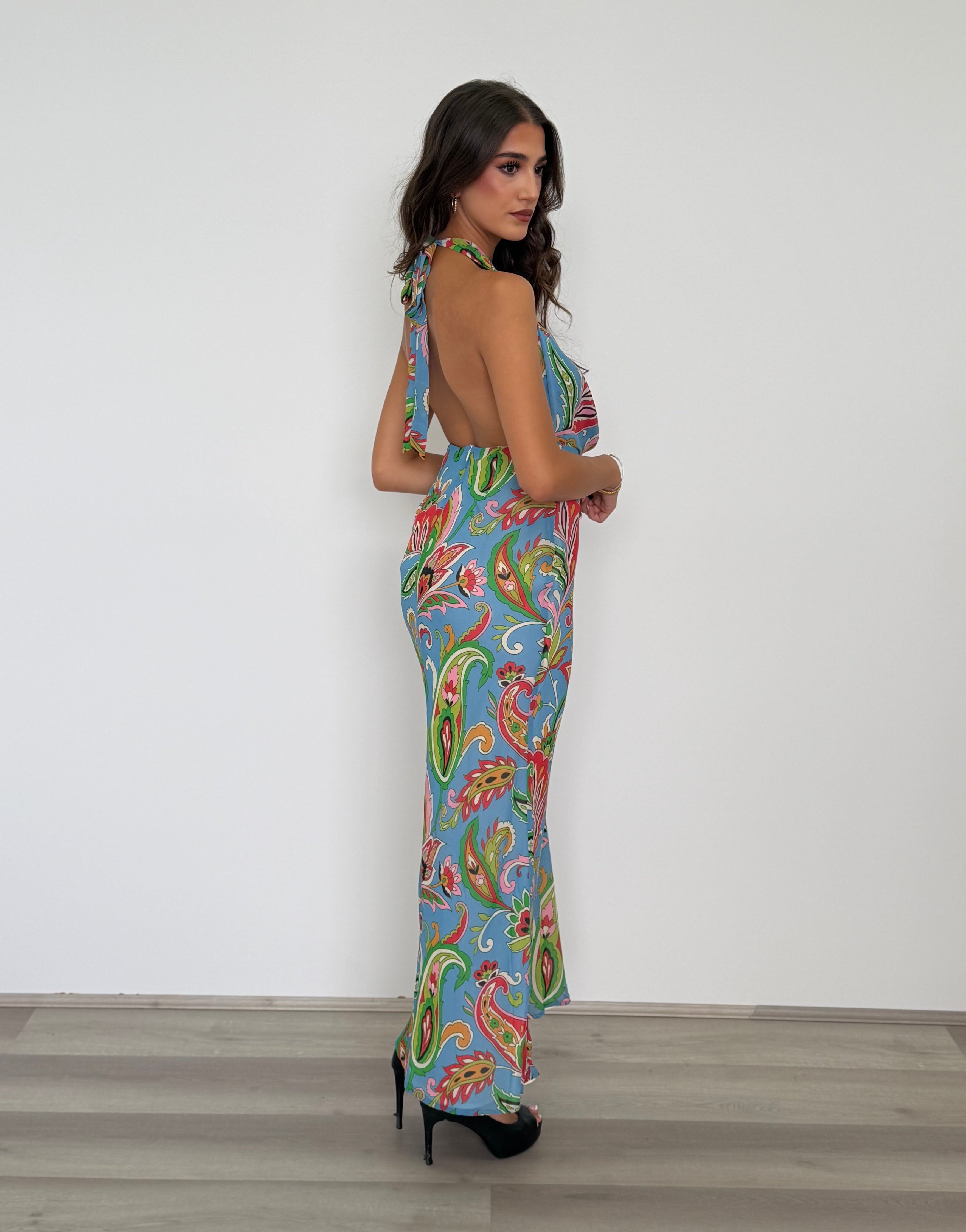  Lexie Maxi Dress in Carina Print