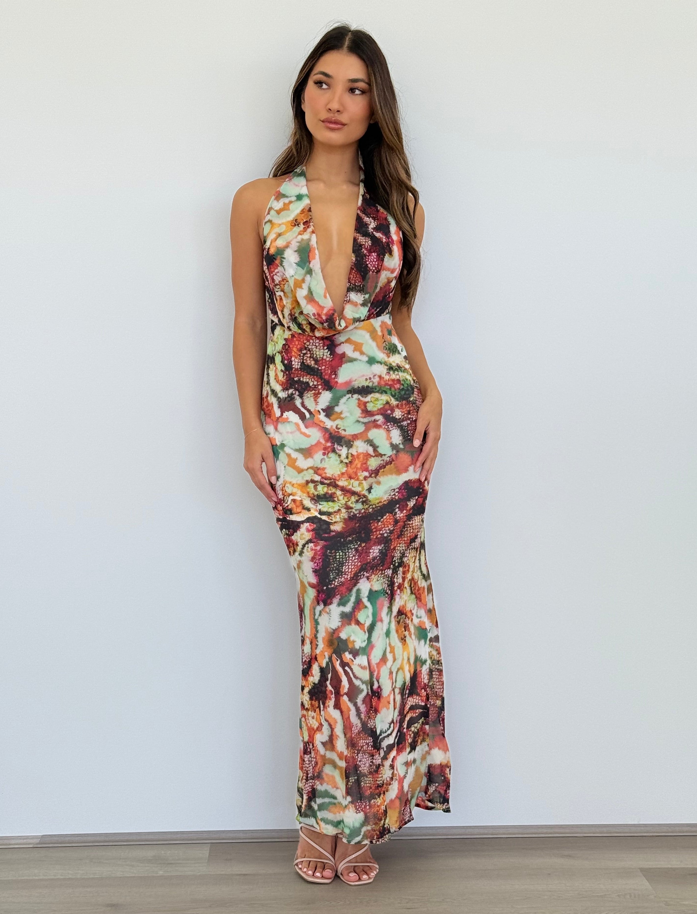 Lexie Maxi Dress in Sonara Print